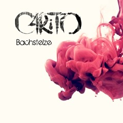 C4RiTO - Bachstelze (Original Mix)