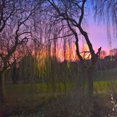 5 Painted Smile 1982 Everybody Meeds 1983