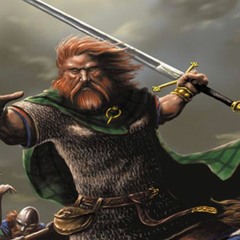 The Battle of Fermanagh