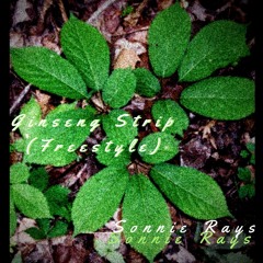 Sonnie Rays Gingseng Strip