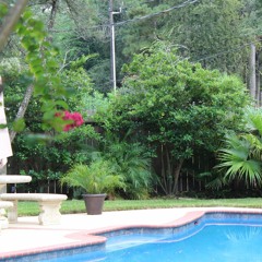 Grass Aint Greener (FREESTYLE) 2