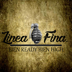 BIEN READY BIEN HIGH VENOZZA 313 -LINEA FINA TEAM Y-TOPO-SITO