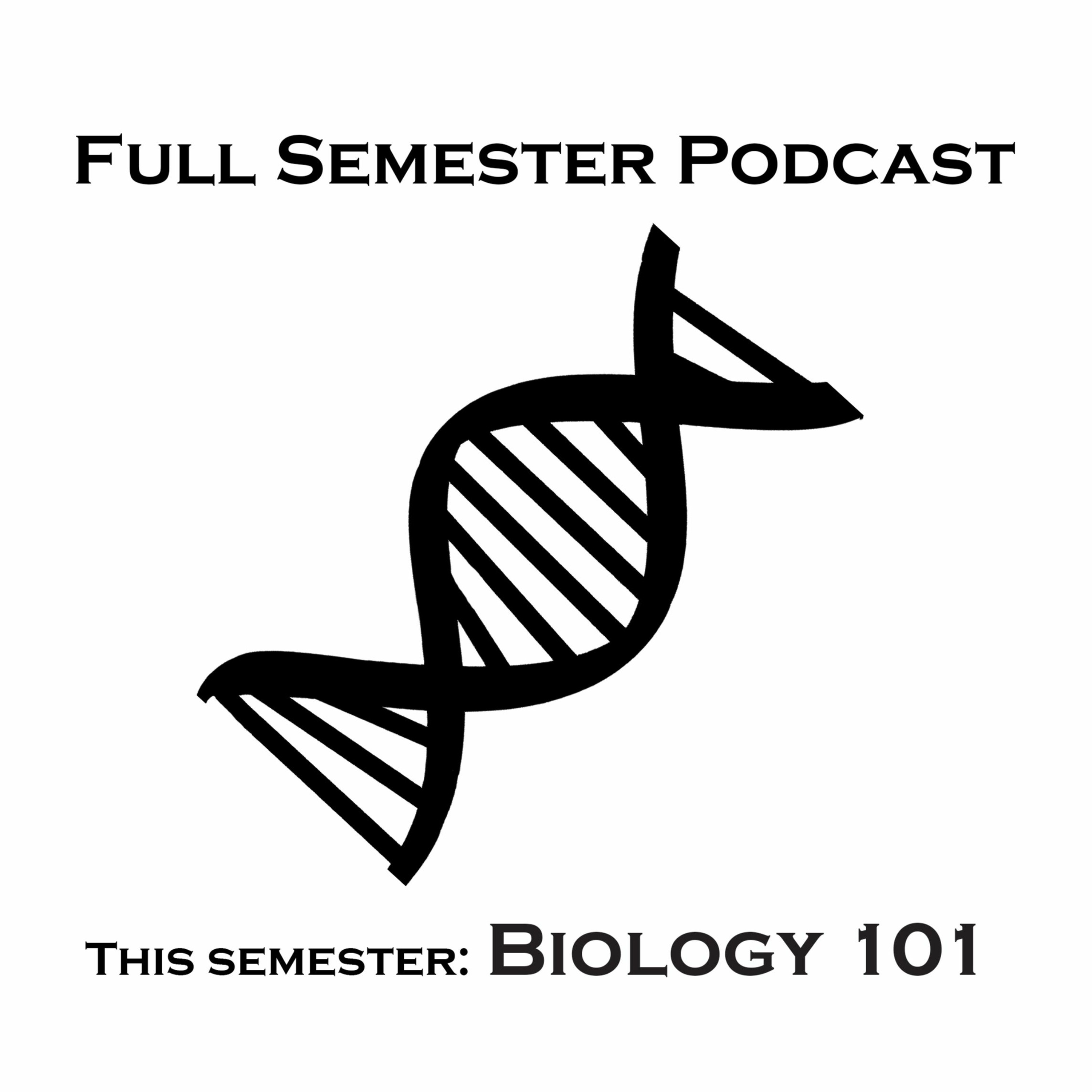 Lecture 7b: From Genes to Proteins (Pt. 2)