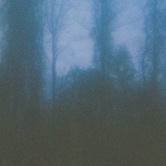 maudlin dusk