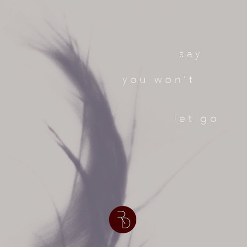 Say You Won't Let Go - James Arthur (Acoustic Cover)
