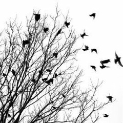 Iron ft. Magdalena Iturriaga - Volamos (Beat Jerry Island) (Prod. Distrito 17)