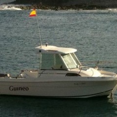 Guineo (David Ramírez & Avelino Herrera) - Realidad