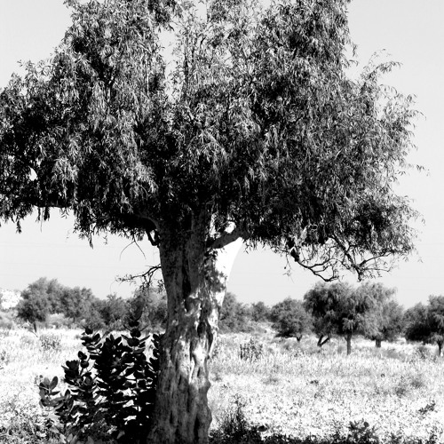 Introspective Matters 2 (mixed by Dr.DJ)