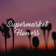 Ed Sheeran - Supermarket Flowers (Samantha Harvey Cover)