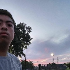 Gemini Girls  2 -Mixtape