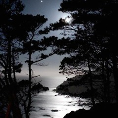 EL MAR Y LA LUNA (11.02.17)
