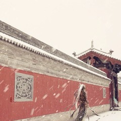 Nhớ Trường An - Song Sênh | 长安忆 - 双笙