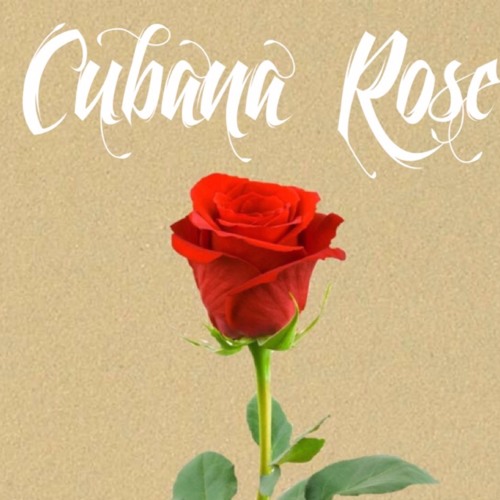Cubana red rose