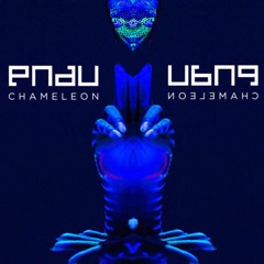 PNAU - Chameleon x Malice (nextpls Mashup)