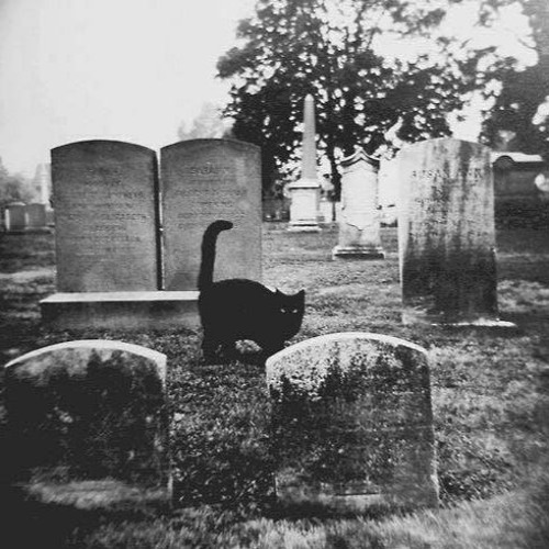 love me like i'm dead (prod. prtyswt x no lack)