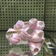 Big Room Mix By YUNA