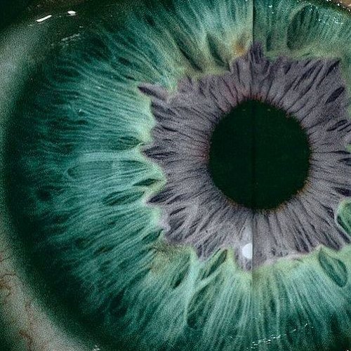 Divination