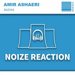 [NRR263][Preview]Amir Ashaeri - Razhia (Original Mix)