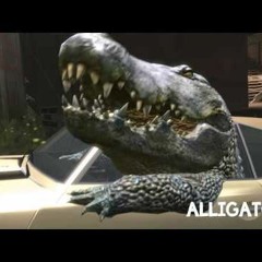 Chip Da Ripper interior crocodile alligator