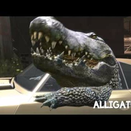 Chip Tha Ripper Interior Crocodile Alligator Lyrics Azlyrics Com