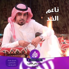 ( شيلة ناعم الخد - سهم هذيل ( حصرياً