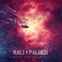 Kali x Paluch - Milion Dróg do Śmierci.mp3