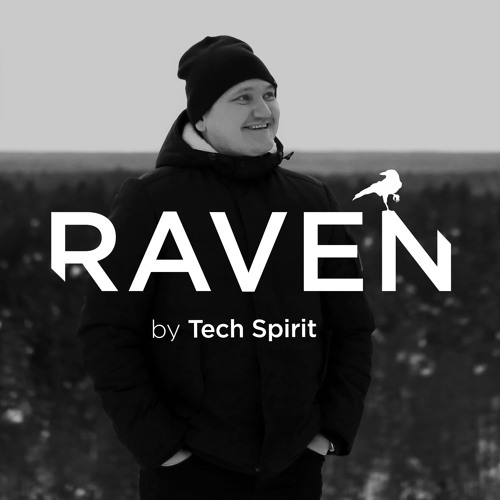 RAVEN, by Tech Spirit
