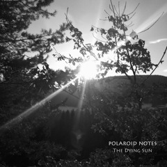 Polaroid Notes - The Dying Sun