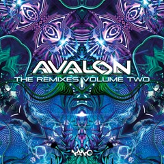 Avalon - Distant Futures (Spinal Fusion Remix)