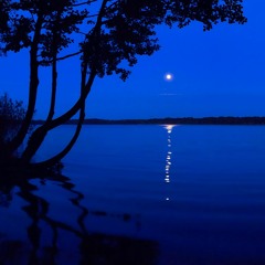 《呼應》(曲: Hou C. / 詞: 林散木 / 編、唱: 林方文)