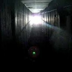TeRRoR