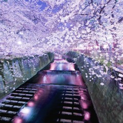 Spacefjord Jamsessions 1