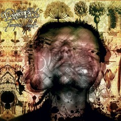 Peyoceps - Tempus Fugit