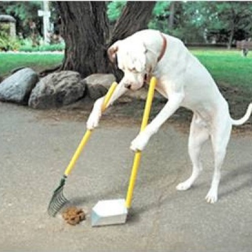 super duper pooper scooper