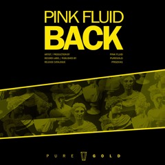 Pink Fluid - Back (Radio Edit) // PRGD041