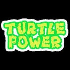 Turtle Power