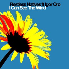 I Can See The Wind