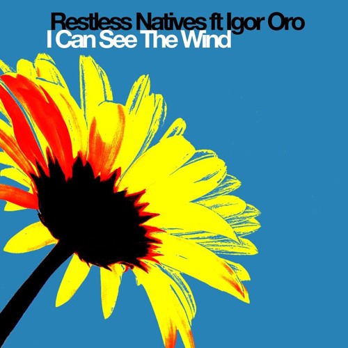 I Can See The Wind