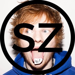 Ed Sheeran - Shape Of You (Seb Zillner Cover)