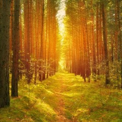 The Path (Prod. Mr Wright)