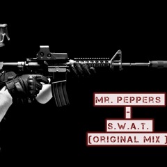 MR. Peppers - S.W.A.T (Original Mix) Premaster (Free Download)
