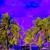 Artwork for Palm Trees X Success (prod. By NICEMEME$OUND)