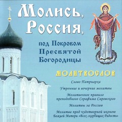 Митрополит ИЛАРИОН читает молитвы на сон грядущим * Metr. HILARION reads the prayers before sleep