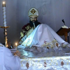 Fr Antonious Emil el2odas elkirollosy