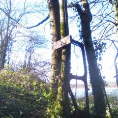 These Wolves Are Hungry