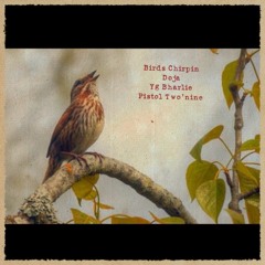 Birds Chirpin ft. Yg Bharlie, Pistol2'Nine