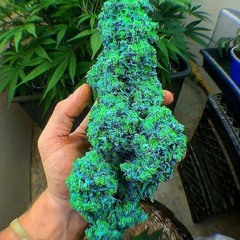 All I Need Lil GFLY ft zmonious(Mixed.By TUHI)