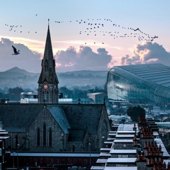 D4 Damager (The Battle Rap)