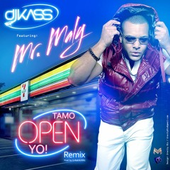 Mr Maly Dj Kass Tamo Open Yo Dj G - Rald Song