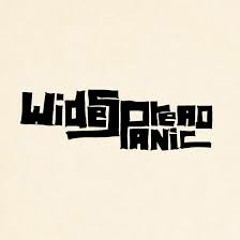 Widespread Panic - Coconut 4/16/89 Athens GA